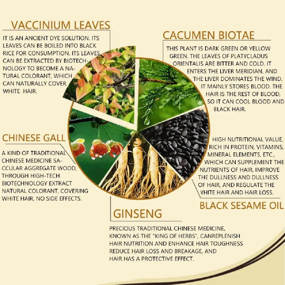 Jet-Black Hair Dye Shampoo: Organic Essence, Premium Color & Nourishment