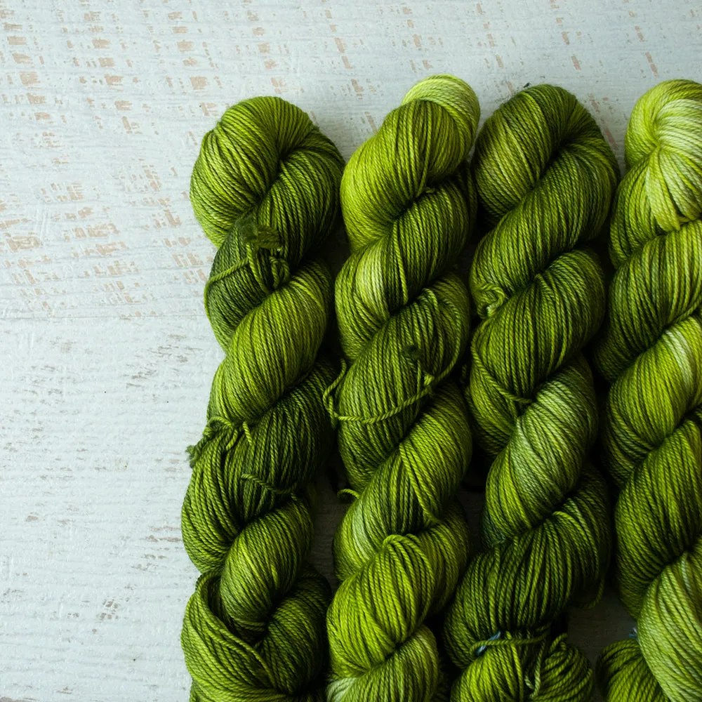 Marimo - Sportlicious