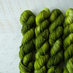 Marimo - Sportlicious